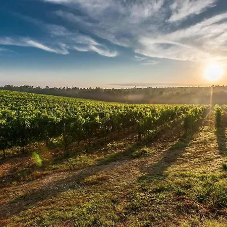 Camping Camping Les Lacs *****